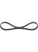 Bosch Ribbed V-Belt