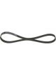 Bosch Ribbed V-Belt