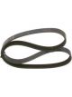 Bosch Ribbed V-Belt