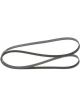 Bosch Ribbed V-Belt