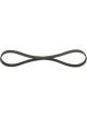Bosch Ribbed V-Belt