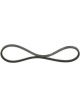 Bosch Cogged Belt