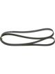 Bosch Ribbed V-Belt