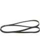 Bosch Ribbed V-Belt