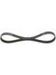 Bosch Ribbed V-Belt