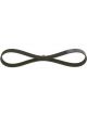 Bosch Ribbed V-Belt