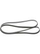 Bosch Ribbed V-Belt