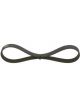 Bosch Ribbed V-Belt