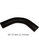Dayco Moulded Radiator Hose