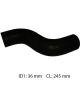 Dayco Moulded Radiator Hose