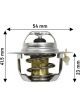 Dayco Thermostat