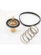 Tridon Thermostat