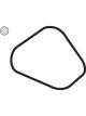 Tridon Thermostat Gasket