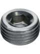Allstar Fitting Plug 1/4 in NPT Allen Head Steel Zinc Oxide Pair