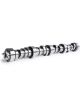 Cam Motion LS Hyd Roller Cam 3-Bolt .621/.604 116°
