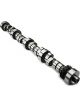 Crower BBF FE Hyd Camshaft 268-H Baja Beast Series