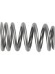 Ford Valve Spring Beehive Spring Single Spring 1.100