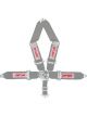Simpson Safety Harness 5-PT L&L B/I P/D V-Harness