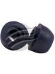 Aunger Exhaust Rubber Support For Nissan Pulsar Late