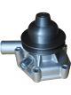 Dayco Automotive Engine Water Pump