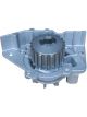 Dayco Automotive Engine Water Pump