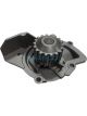 Dayco Water Pump