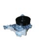 Dayco Automotive Engine Water Pump