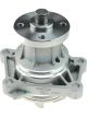 Dayco Water Pump