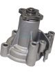 Dayco Water Pump