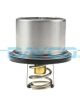 Dayco Thermostat - 72mm Diameter 77C Boxed