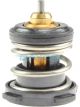 Dayco Thermostat