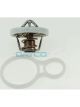 Dayco Thermostat