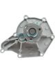 Dayco Automotive Engine Water Pump
