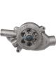 Dayco Heavy Duty Water Pump