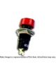 NX Express Nitrous System Activation Push Button