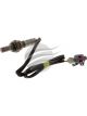 NTK Oxygen Sensor For GMH Cruze JH JA35 F18D4 05/2009-2018