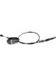 Dorman Crankshaft Sensor