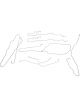 Dorman Brake Lines Stainless Steel For Chevrolet GMC Front/Rear Kit