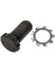 Dorman Flywheel Fasteners 12-Point 7/16-20