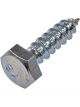 Dorman Lag Screw-Hex Head-5/16
