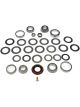 Dorman Ring and Pinion Bearing Installation Kit