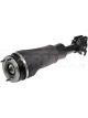 Dorman Shock Active Air OE
