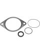Dorman Vacuum Pump Gaskets Dodge Kit