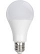 Performance Tool Shop Light Component LED Bulb 100W 120V 1500 Lumens