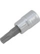 Performance Tool Socket Torx Bit Type T-30 Steel Natural 1/4