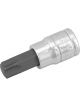 Performance Tool Socket Torx Bit Type T-55 Size Steel Natural 3/8
