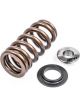 APR Valve Spring and Retainer Kit 3.0T Set of 24