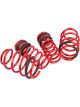 APR Lowering Springs Coil Front/Rear Red Powdercoated Audi Volkswagen