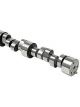 Comp Cams Camshaft Cb Xr303 R-10