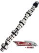 Comp Cams Camshaft Big Mutha' Hydraulic Roller Cam Advertised Duratio